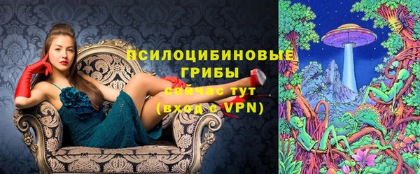 гидропоника Елизово