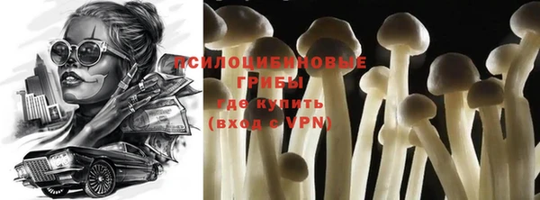 гидропоника Елизово