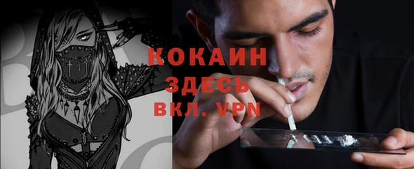 спайс Ельня