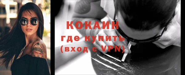 спайс Ельня