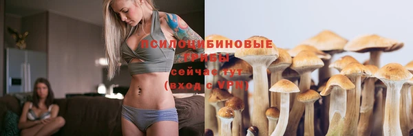 гидропоника Елабуга