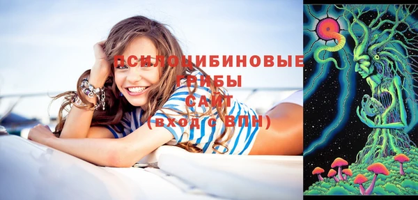 гидропоника Елизово