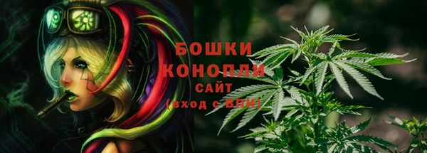 спайс Ельня